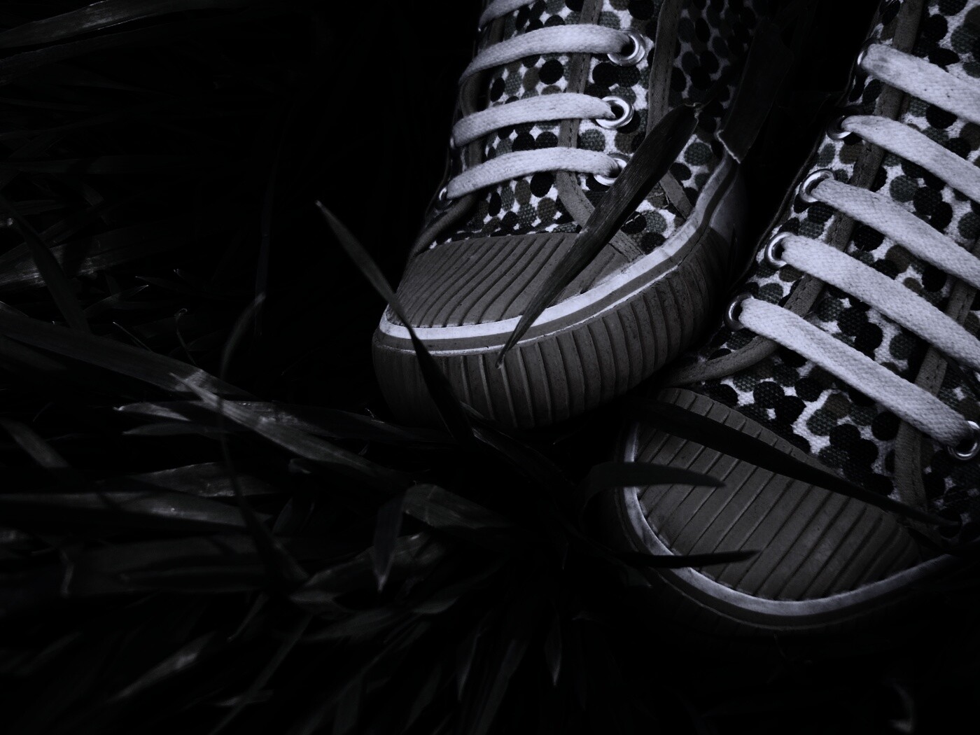 Желтые кеды в горошек обои