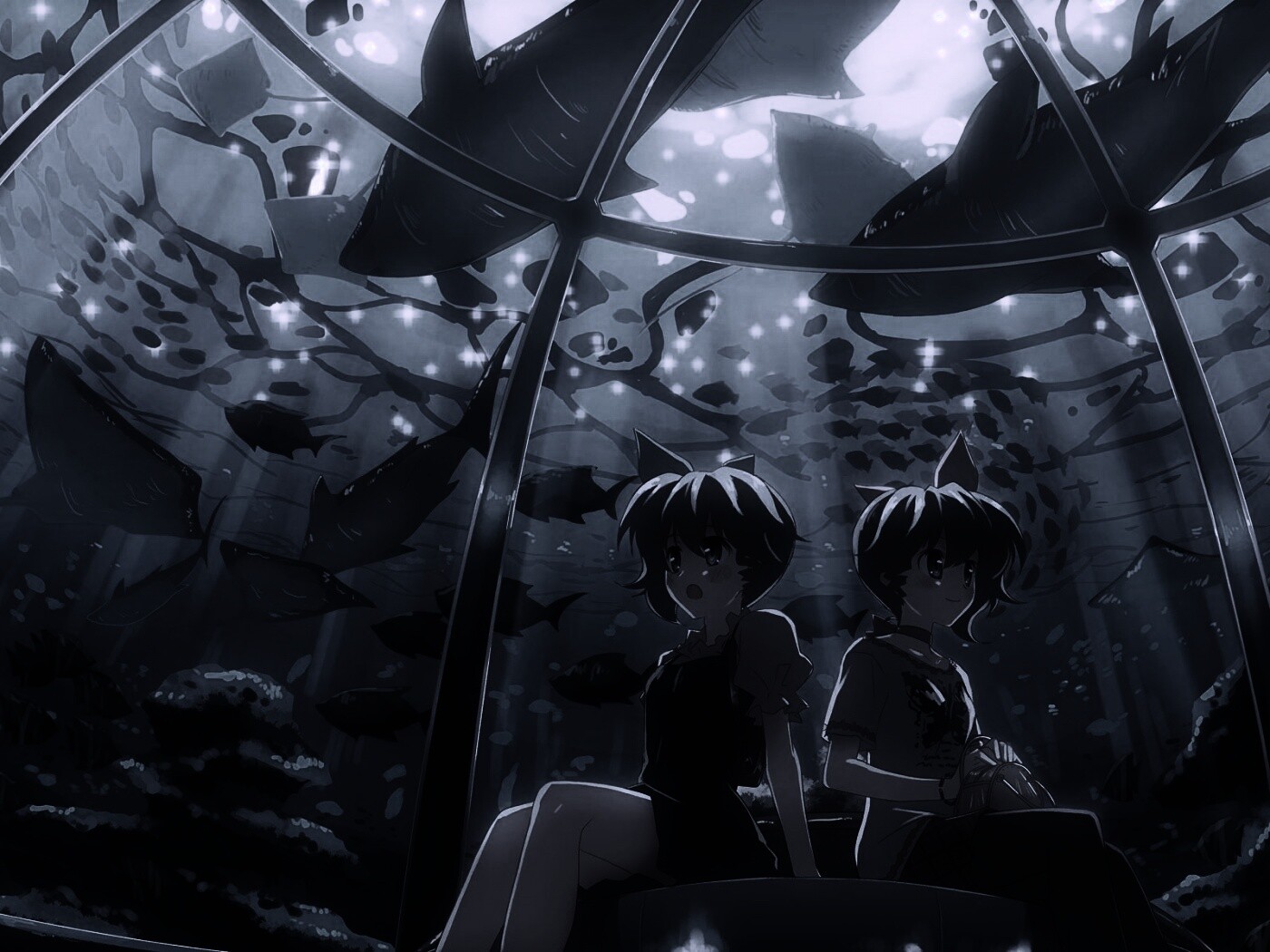 В океанариуме обои