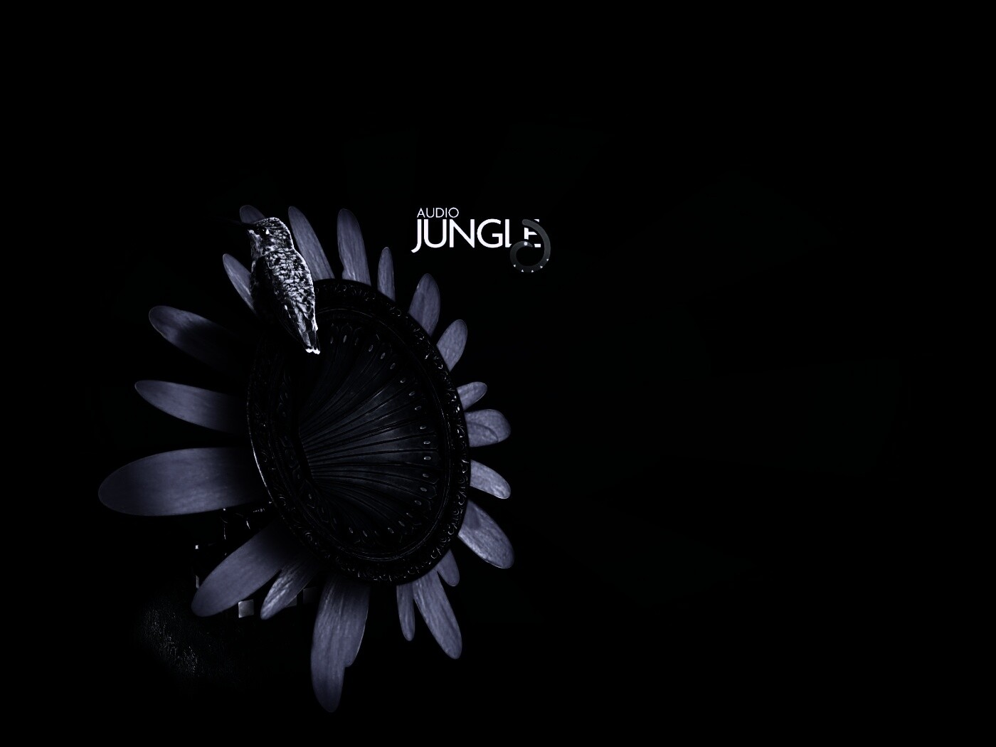 Звуки джунглей обои