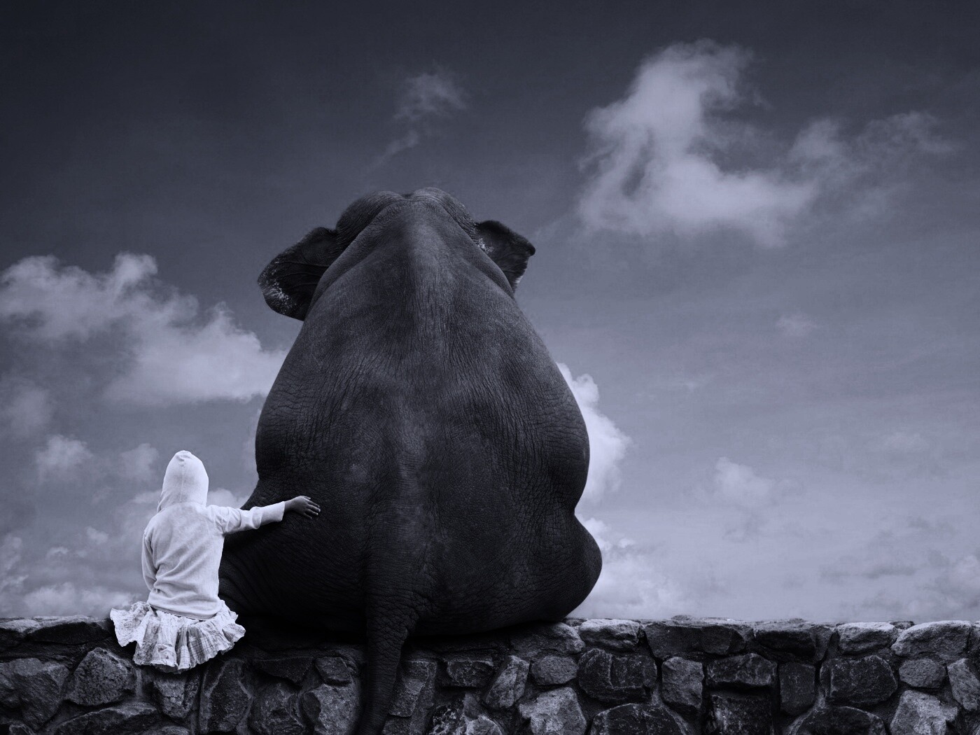 Девочка и слон обои