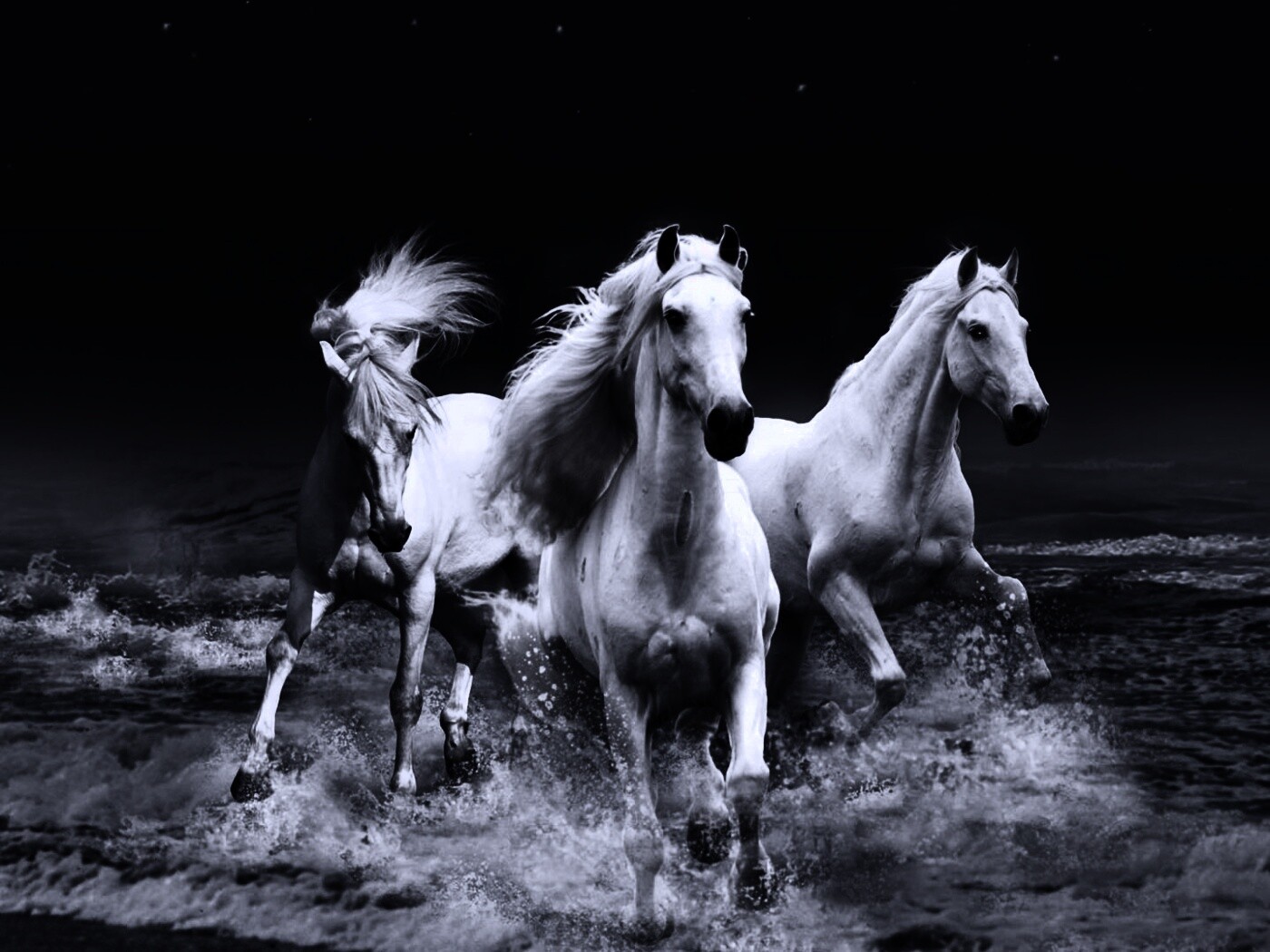 Тройка конец в море обои