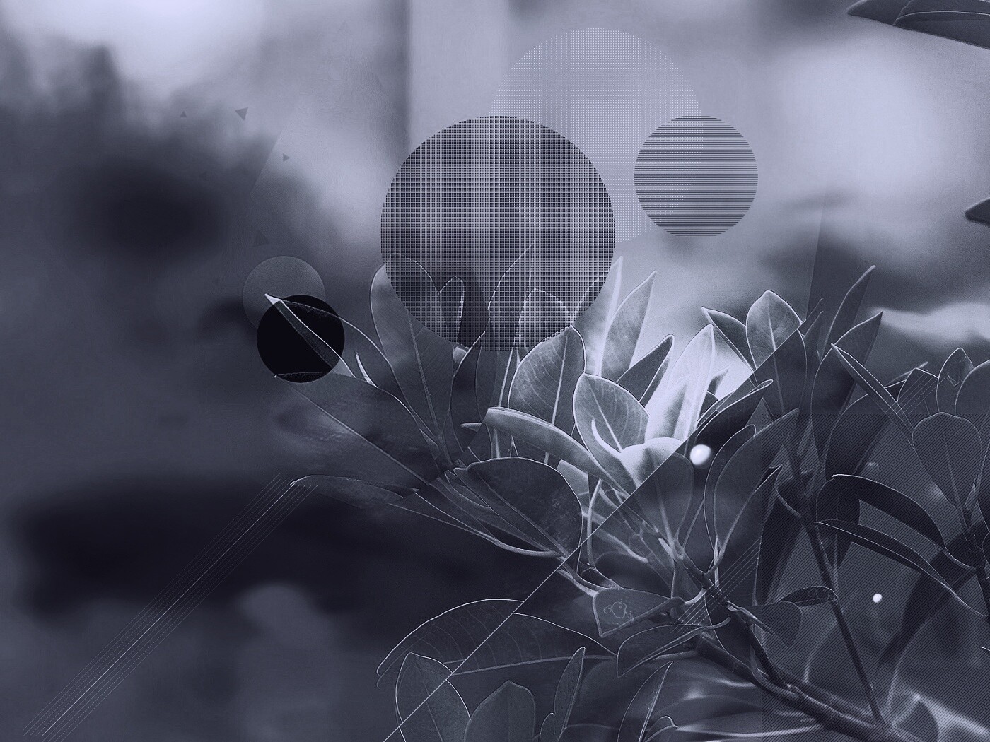 Синий фильтр с кргуами на фото листьев обои