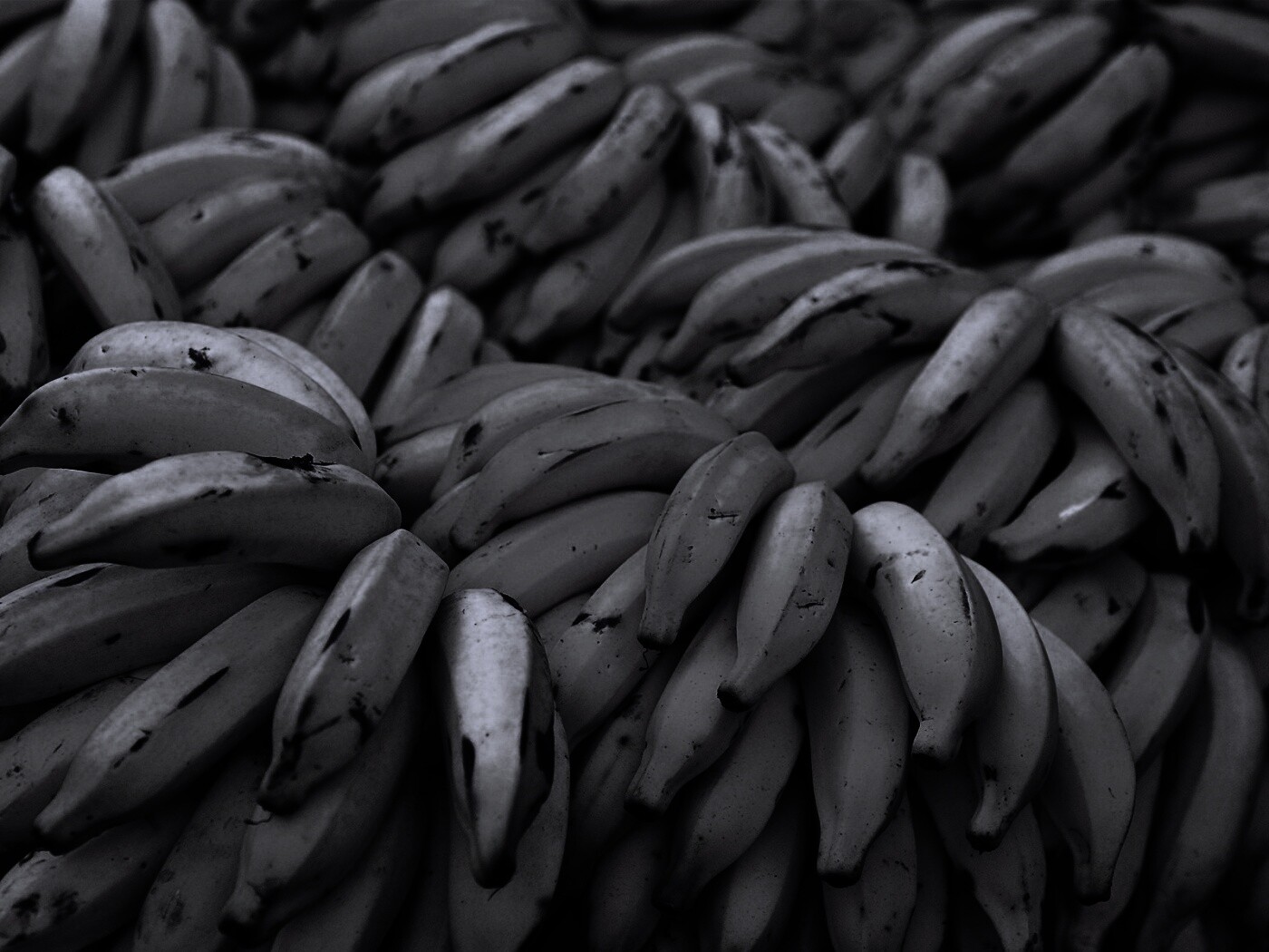 Много бананов обои