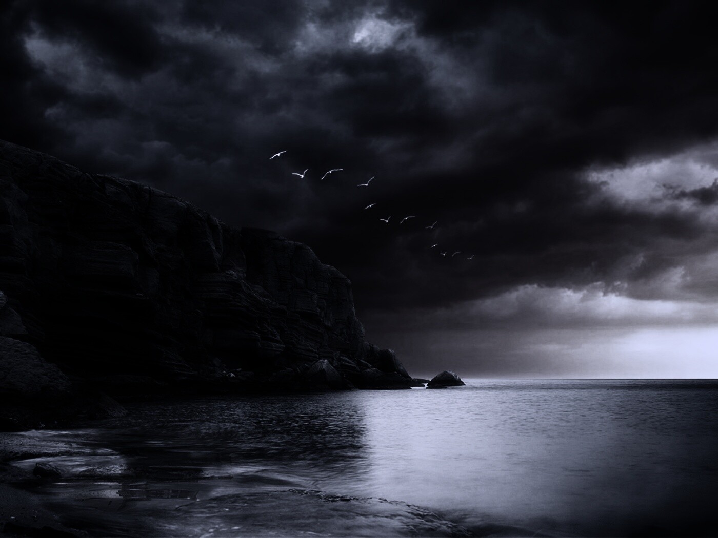 Чайки над скалами обои