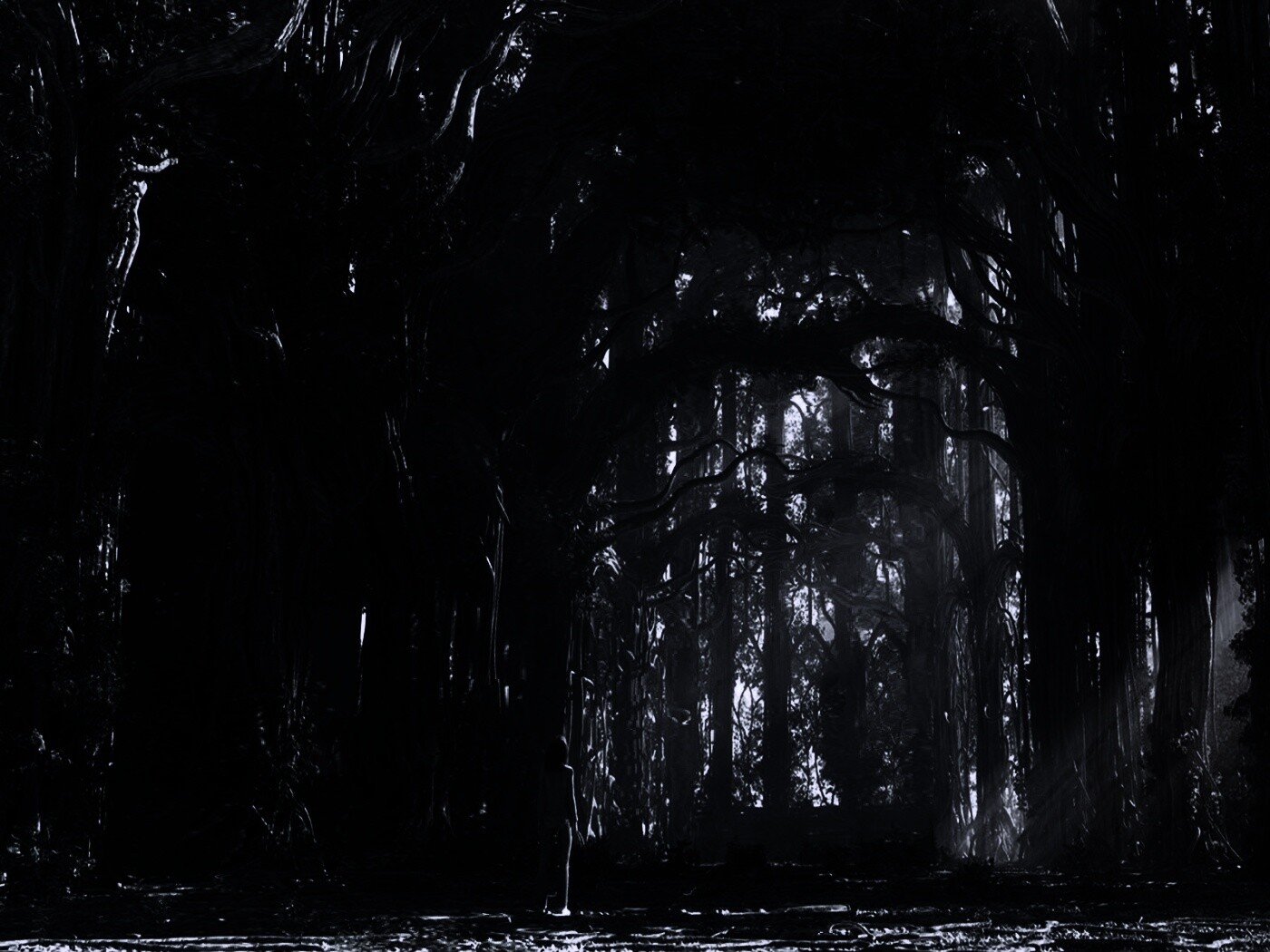 Одна в сумеречном лесу обои