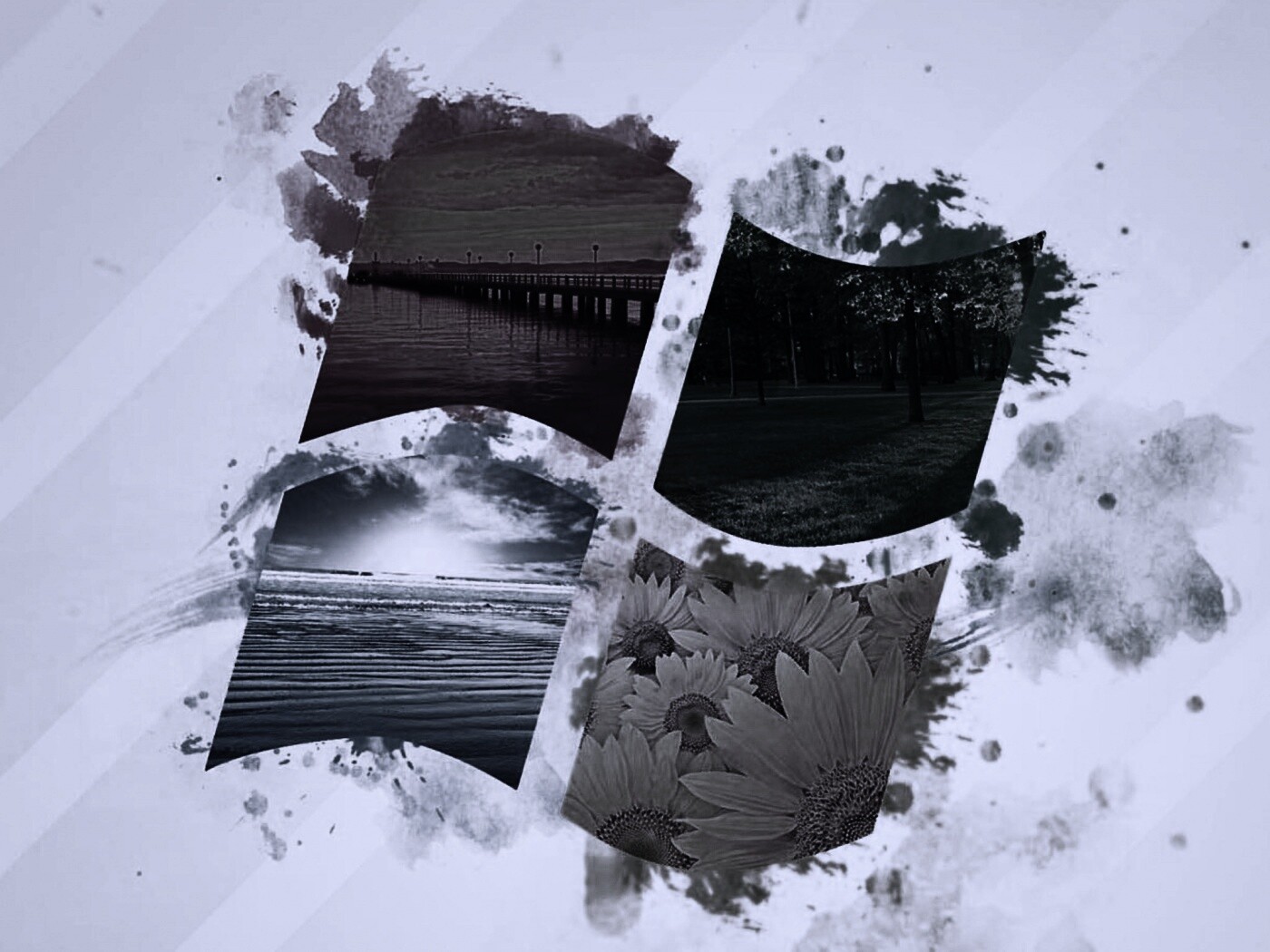 Логотип Winfdows bз фотографий природы обои