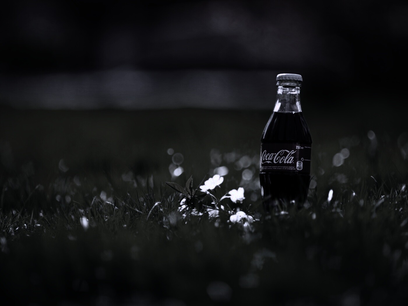 Кока-Кола на траве обои