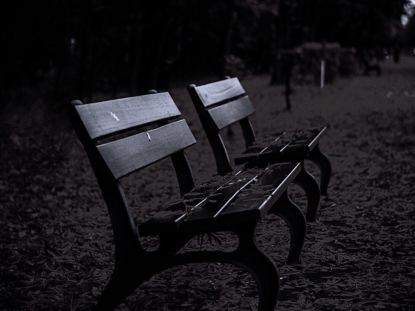 Лавочки в осеннем парке обои