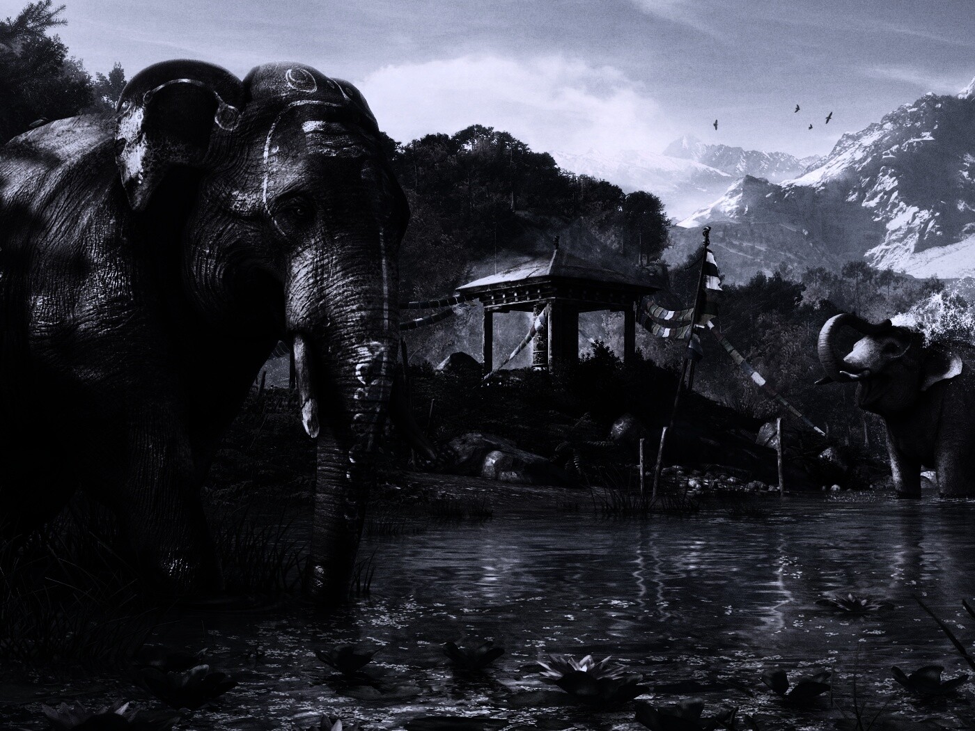 Слоники у воды обои