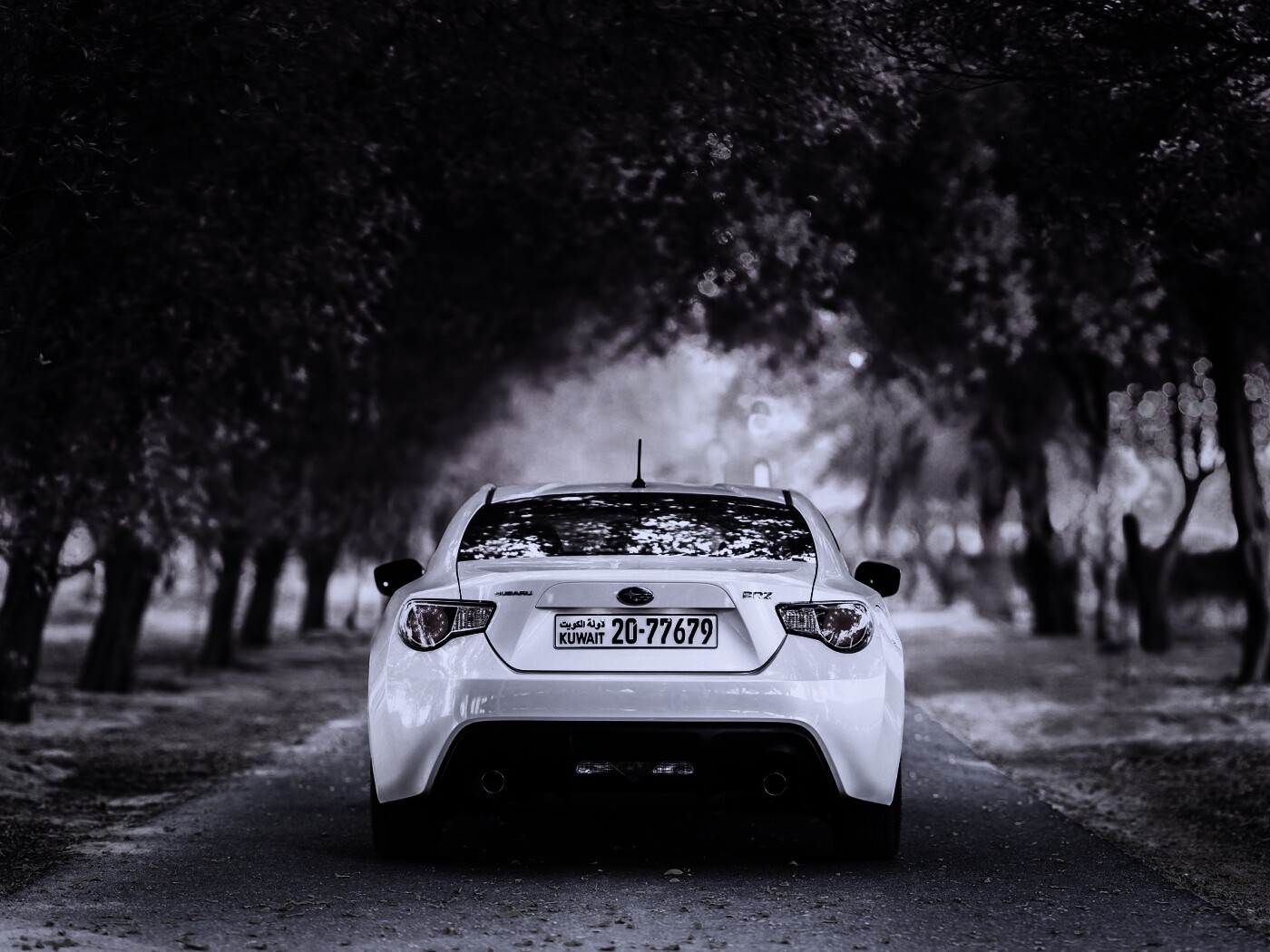 Субару на осенней дороге обои