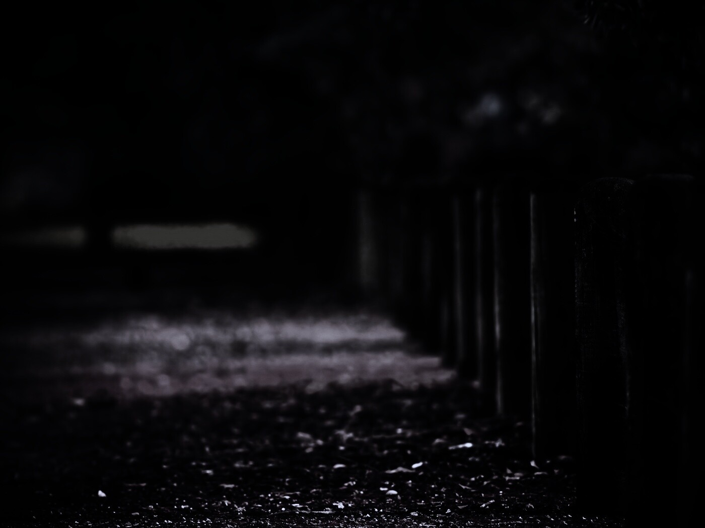 Аллея усеянная листвой обои