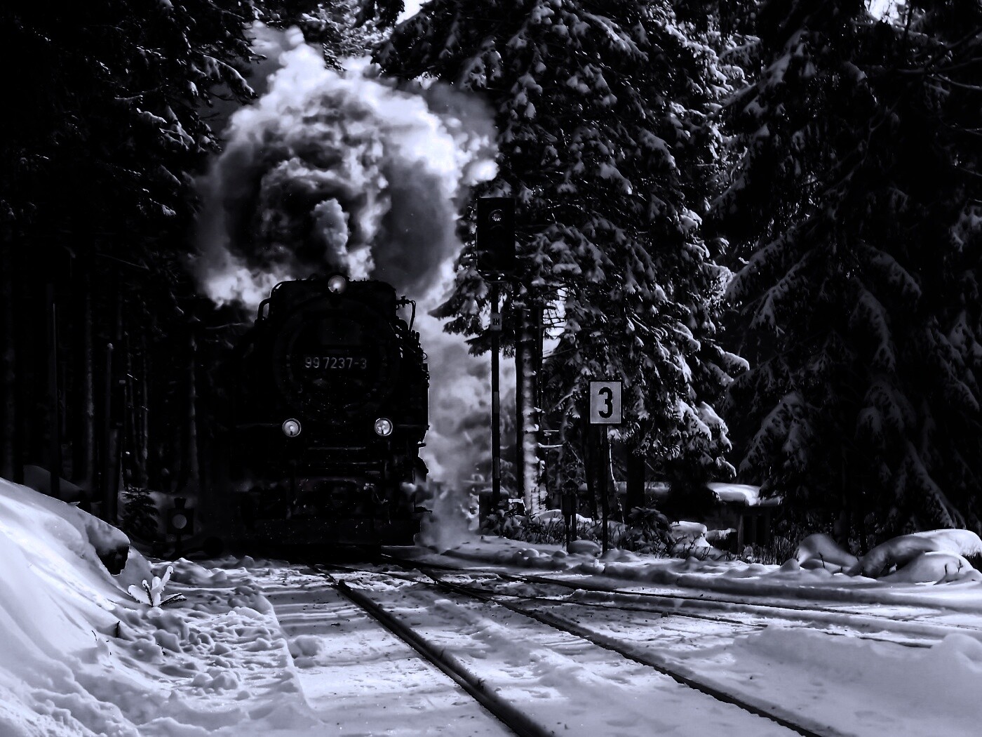 Паровоз в димнем лесу обои