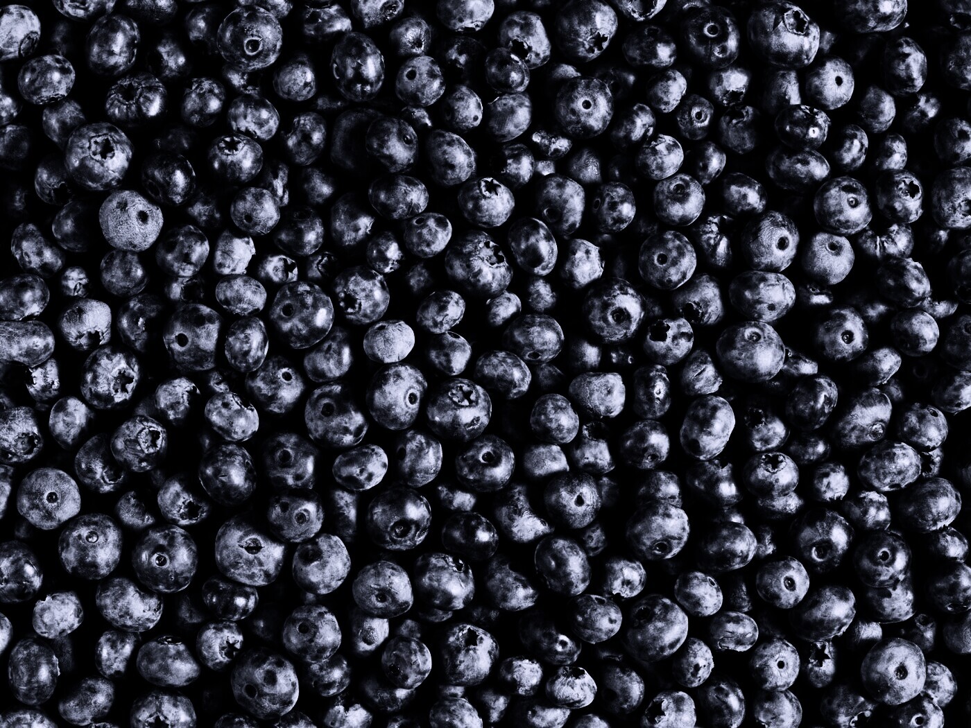 Черника обои