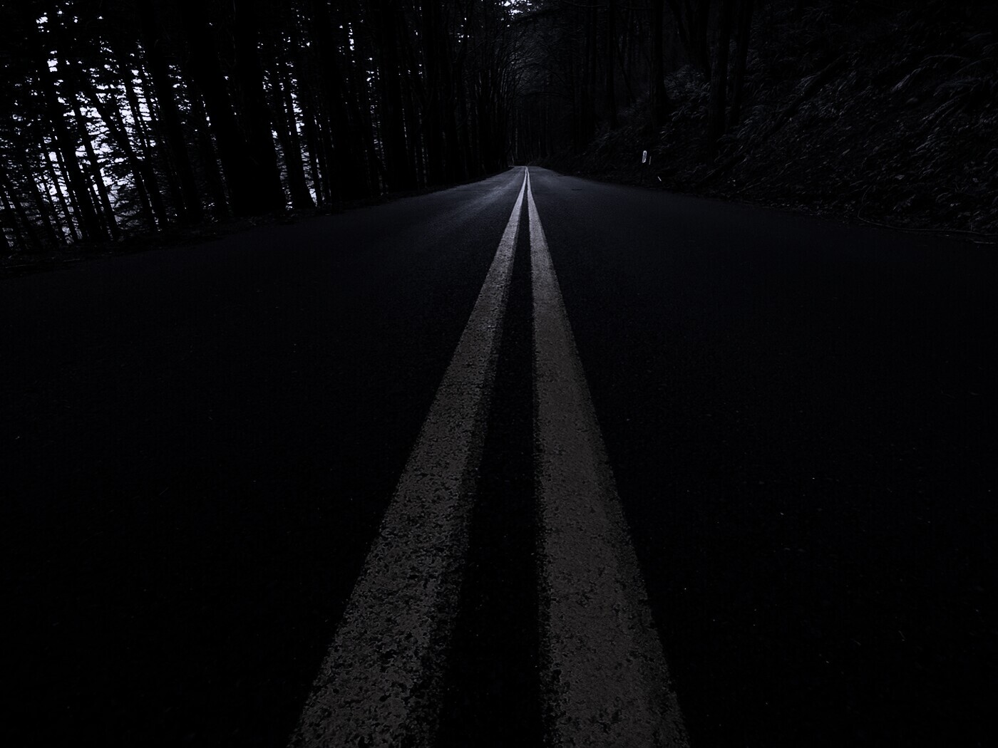 Дорога в лесу обои