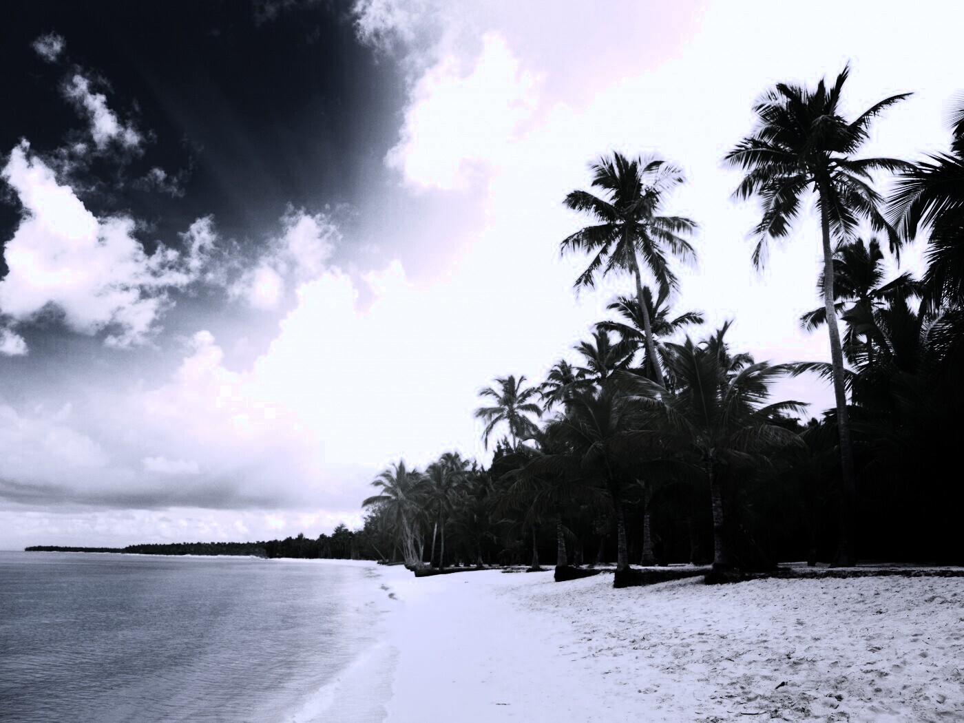 Тропическое побережье обои