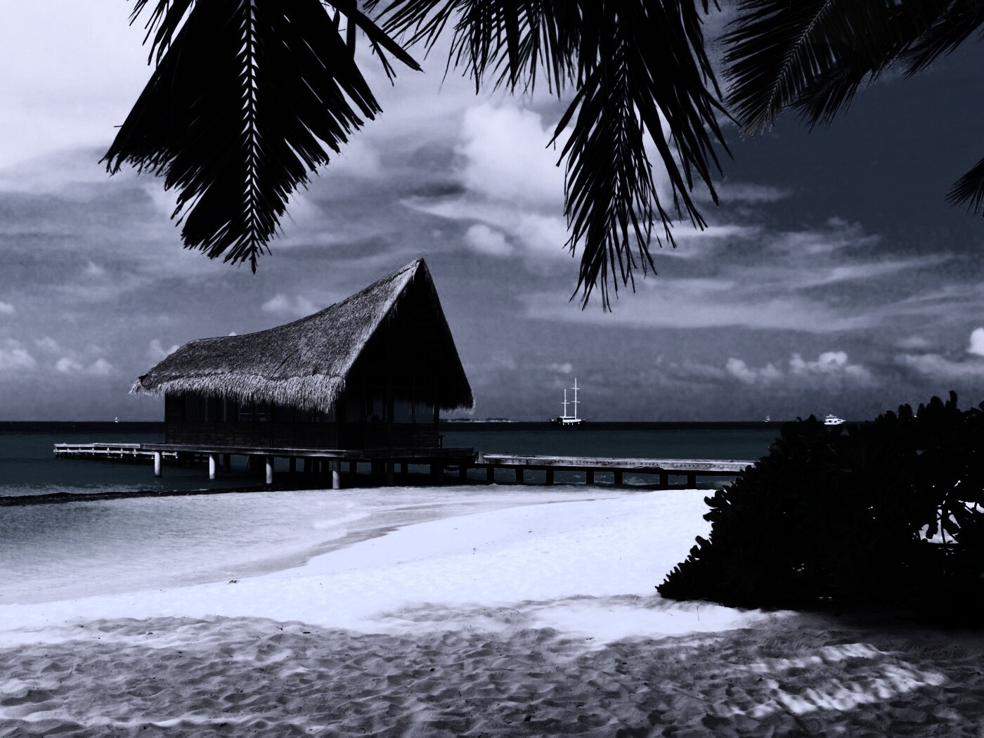 Бунгало обои