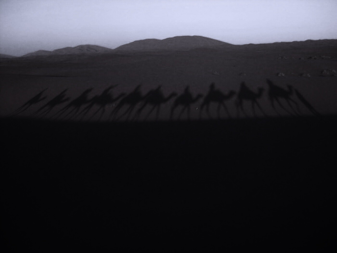 Караван обои