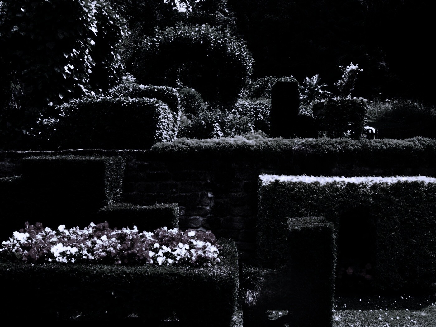 Декоративный сад обои