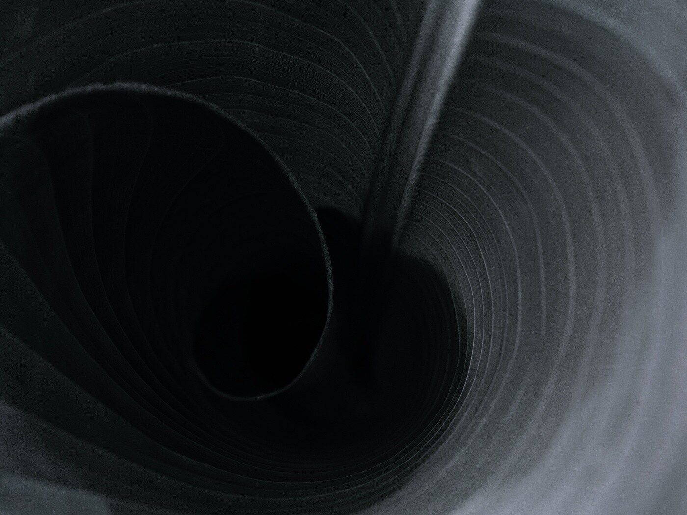 Зеленый лист трубочкой обои