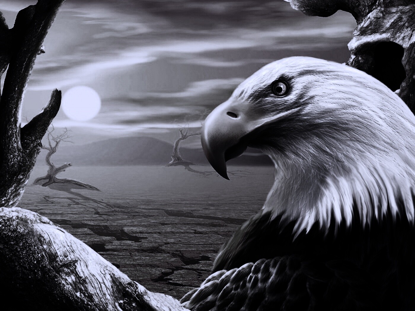 Нарисованный орел обои