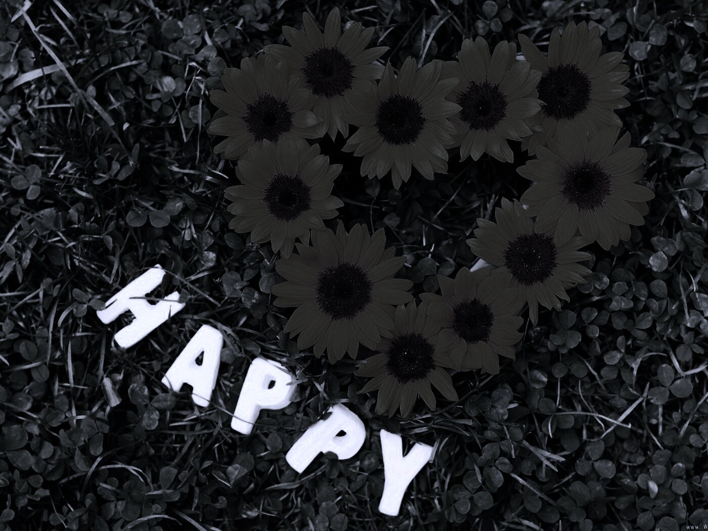 Радость обои