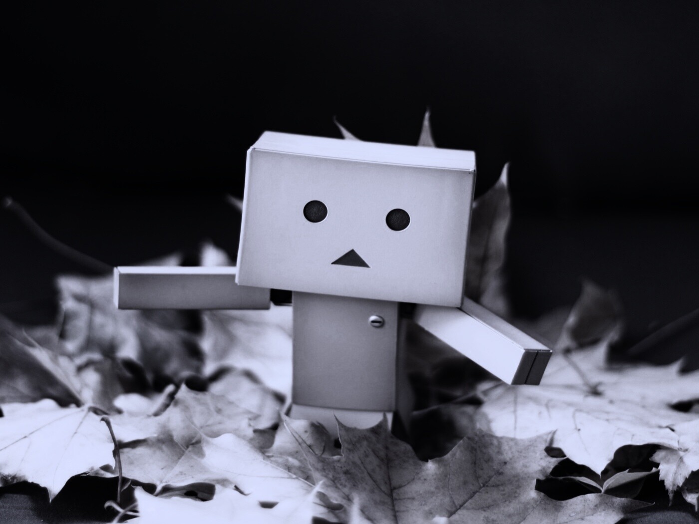  Yotsubato Danbo резвится листьях обои