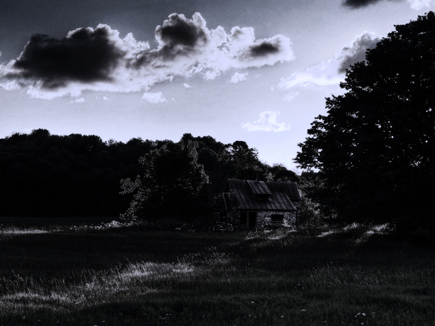 Домик в лесу обои