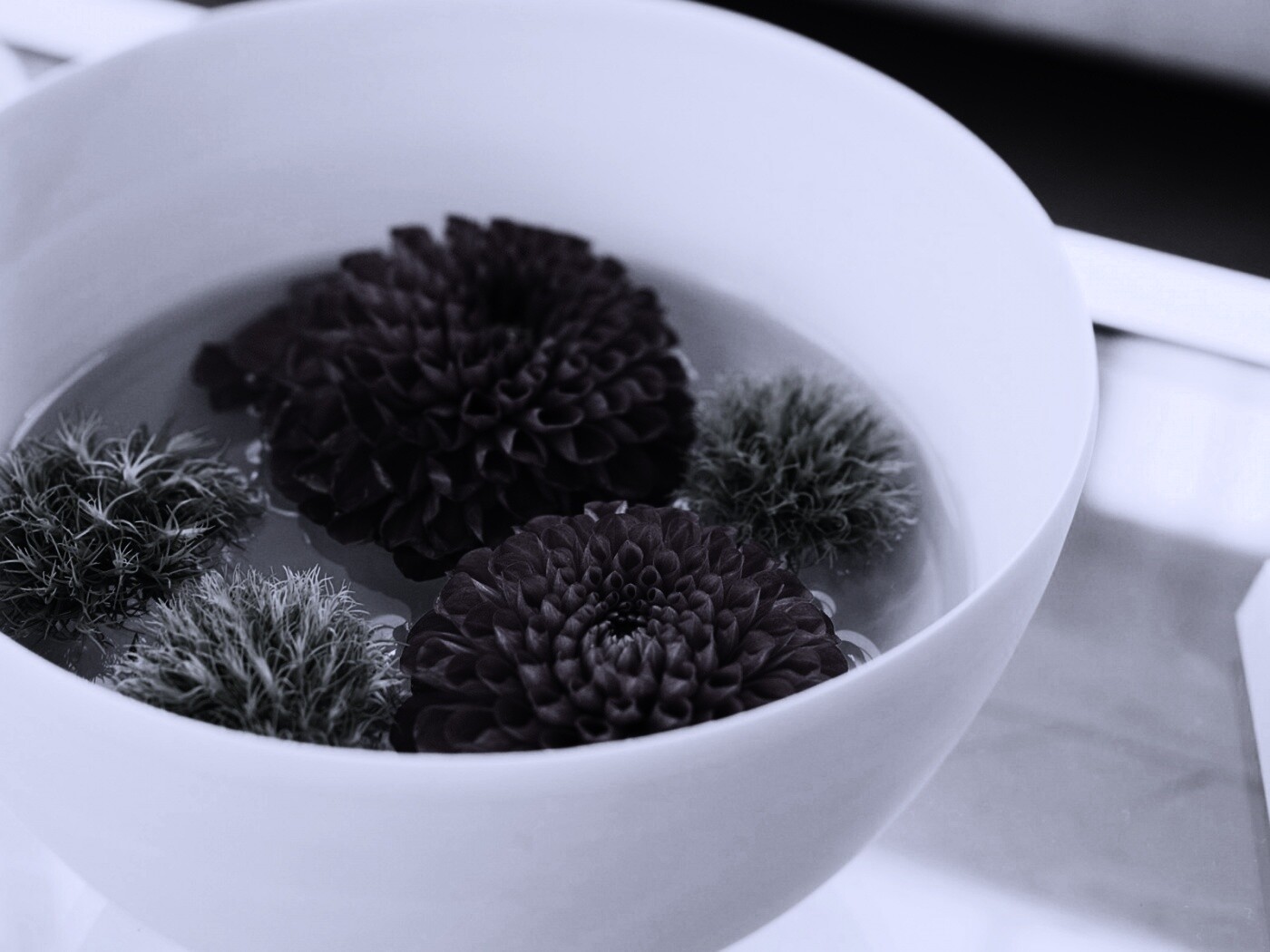 Чаша с цветами обои