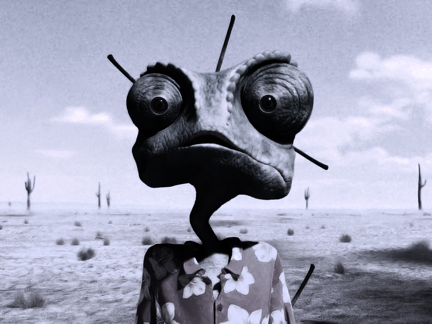 Ранго в колючках от кактуса обои