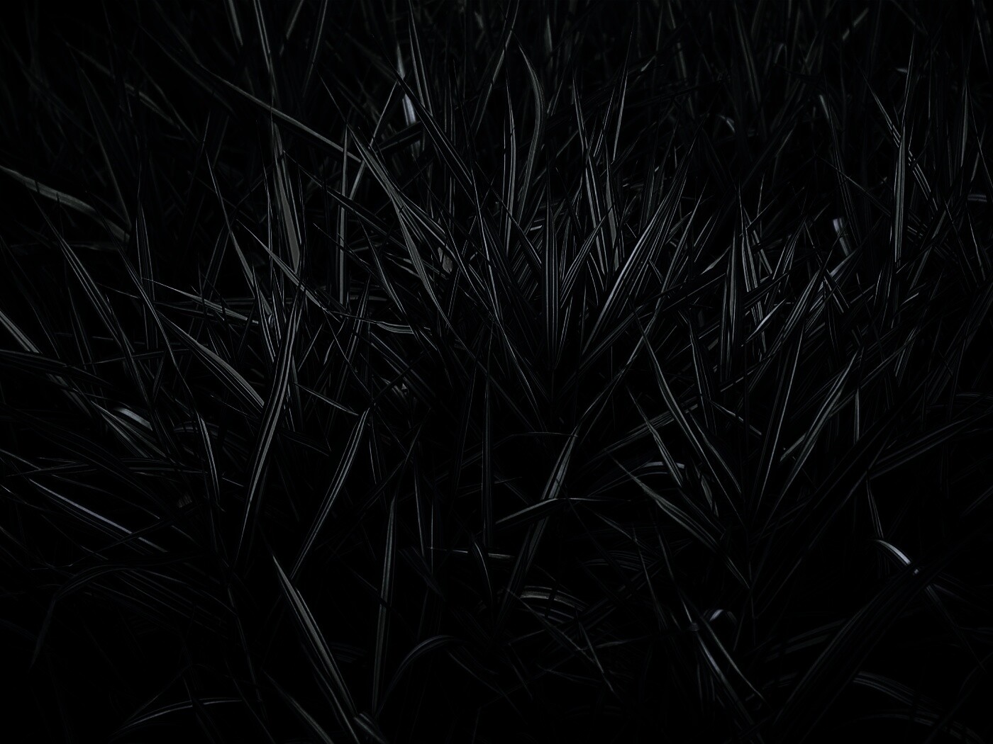 Дикая трава обои