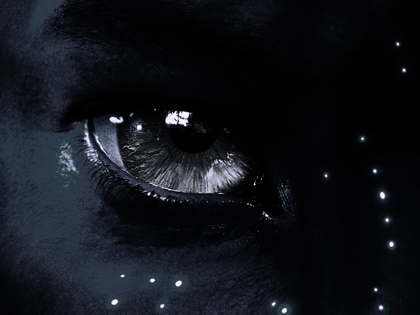 Смотрит прямо в душу обои