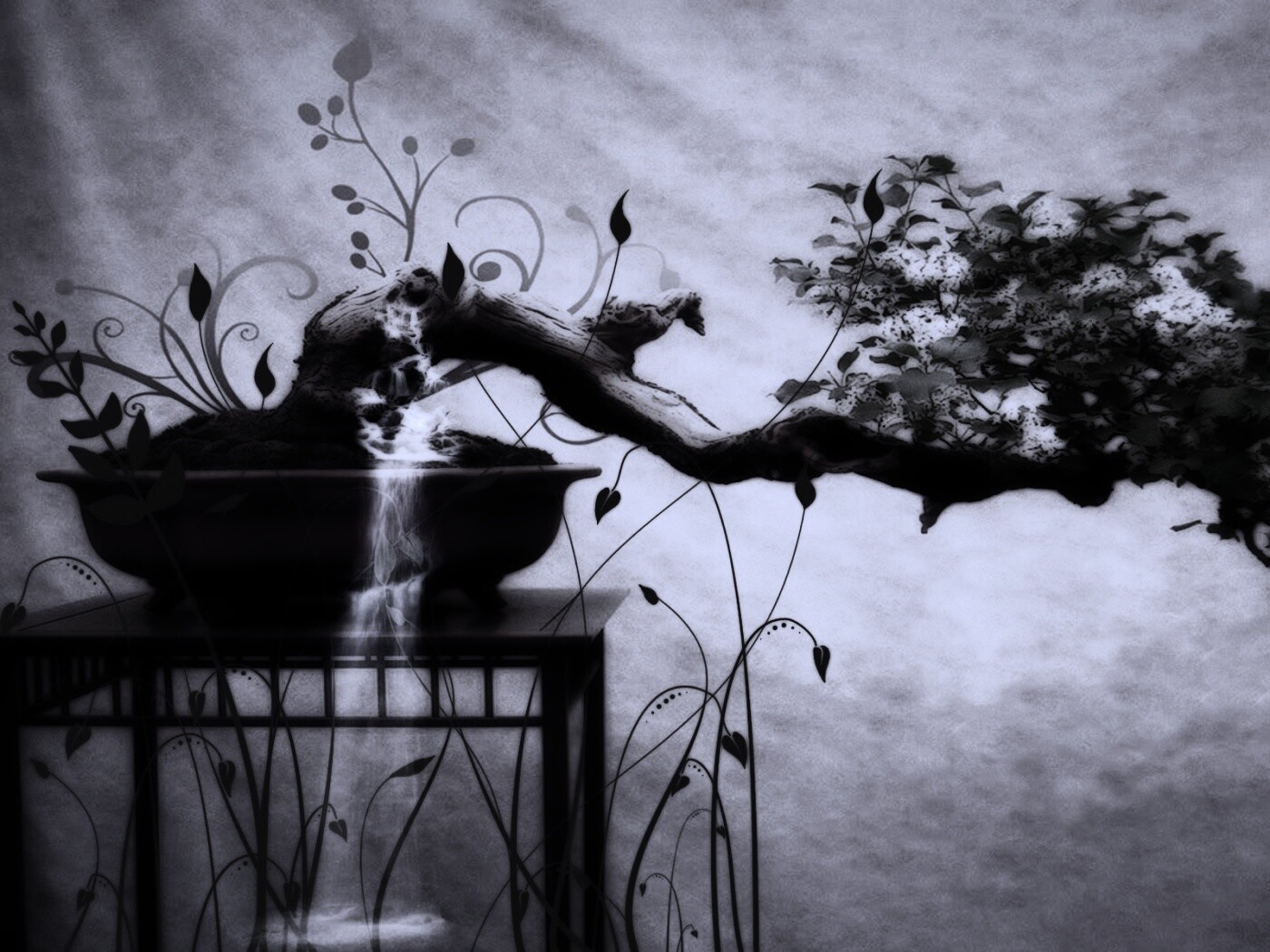 Карликовое дерево обои