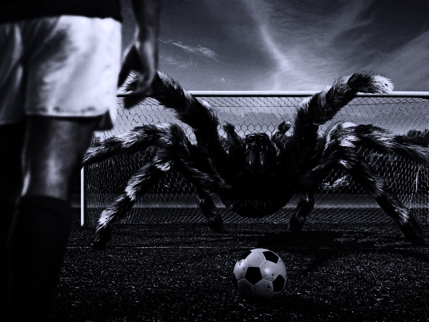 Вратарь обои