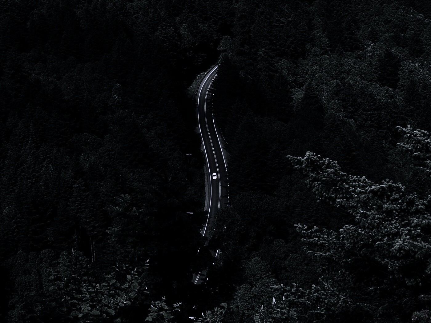 Лесная трасса обои