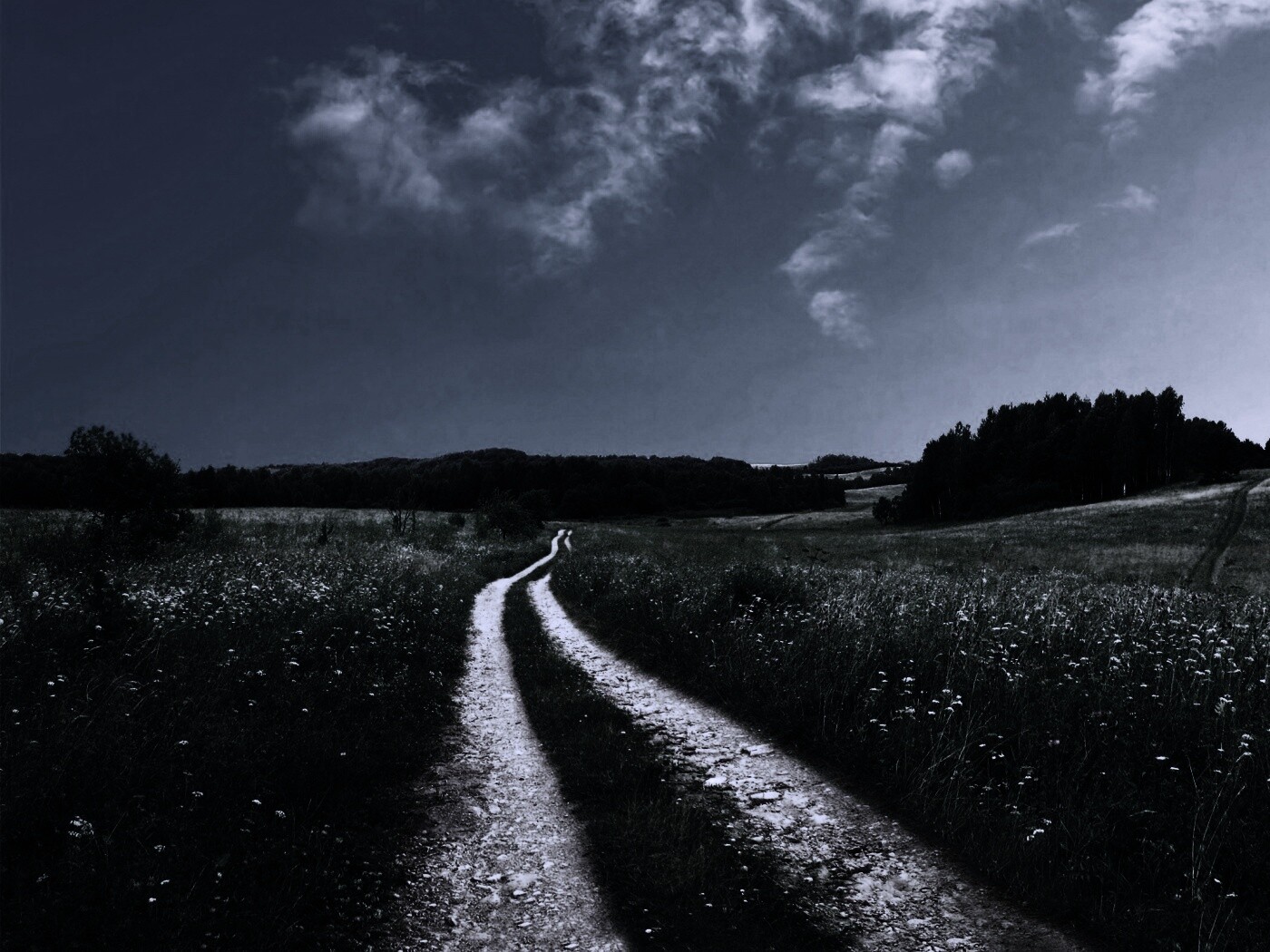 Дорога через луг обои