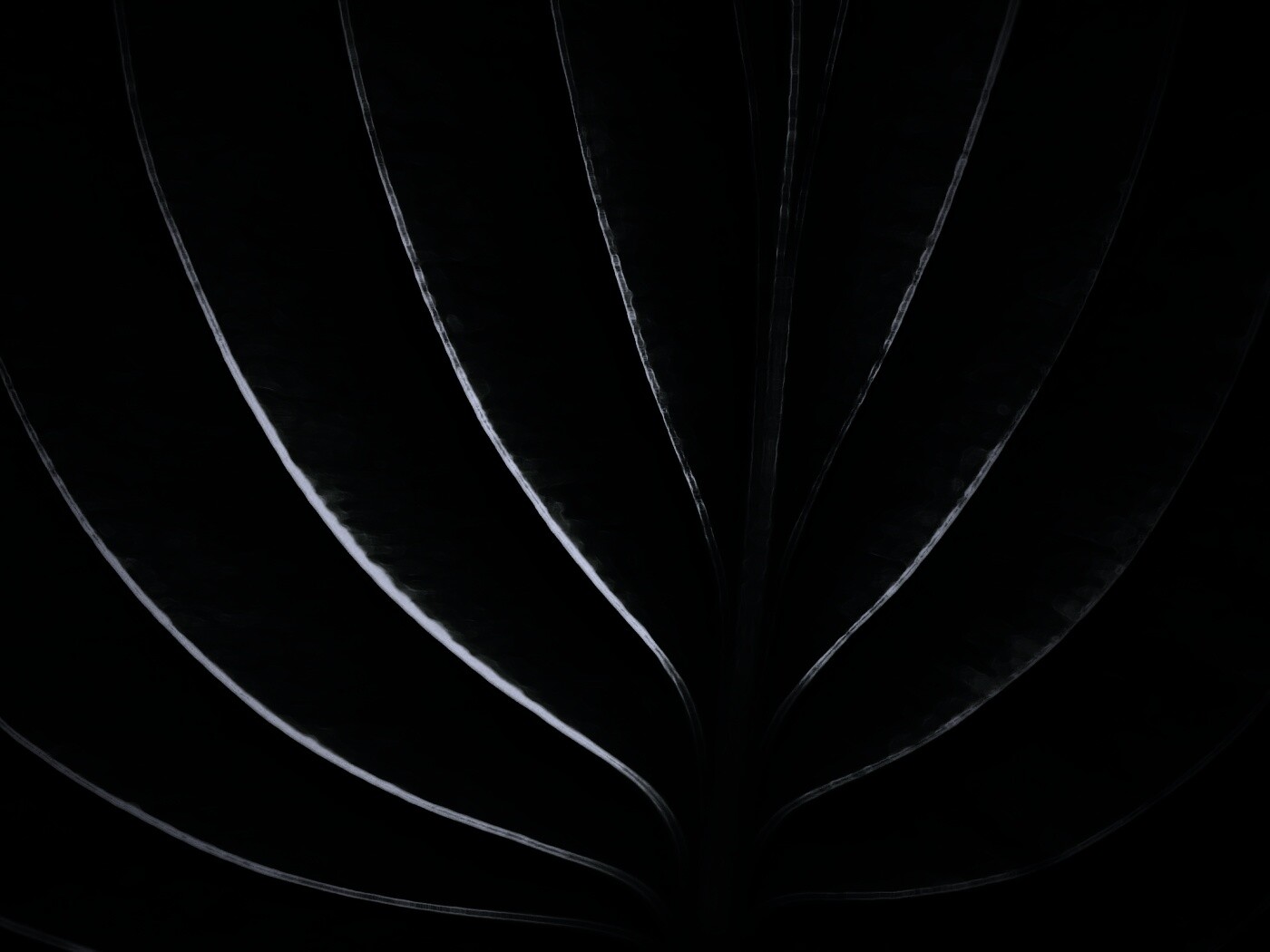 Неоновый лист обои