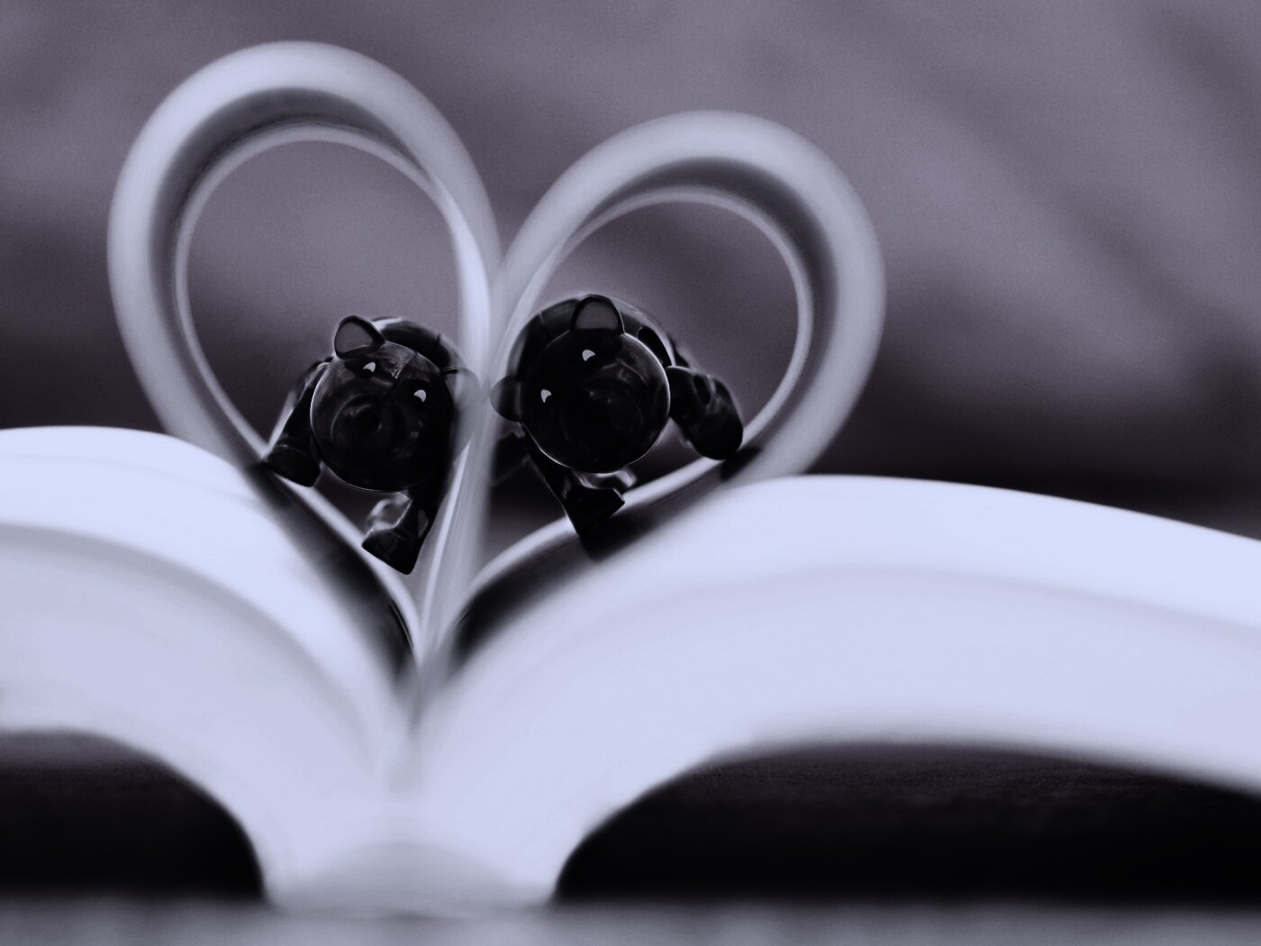 Фигурки мишек в книге обои