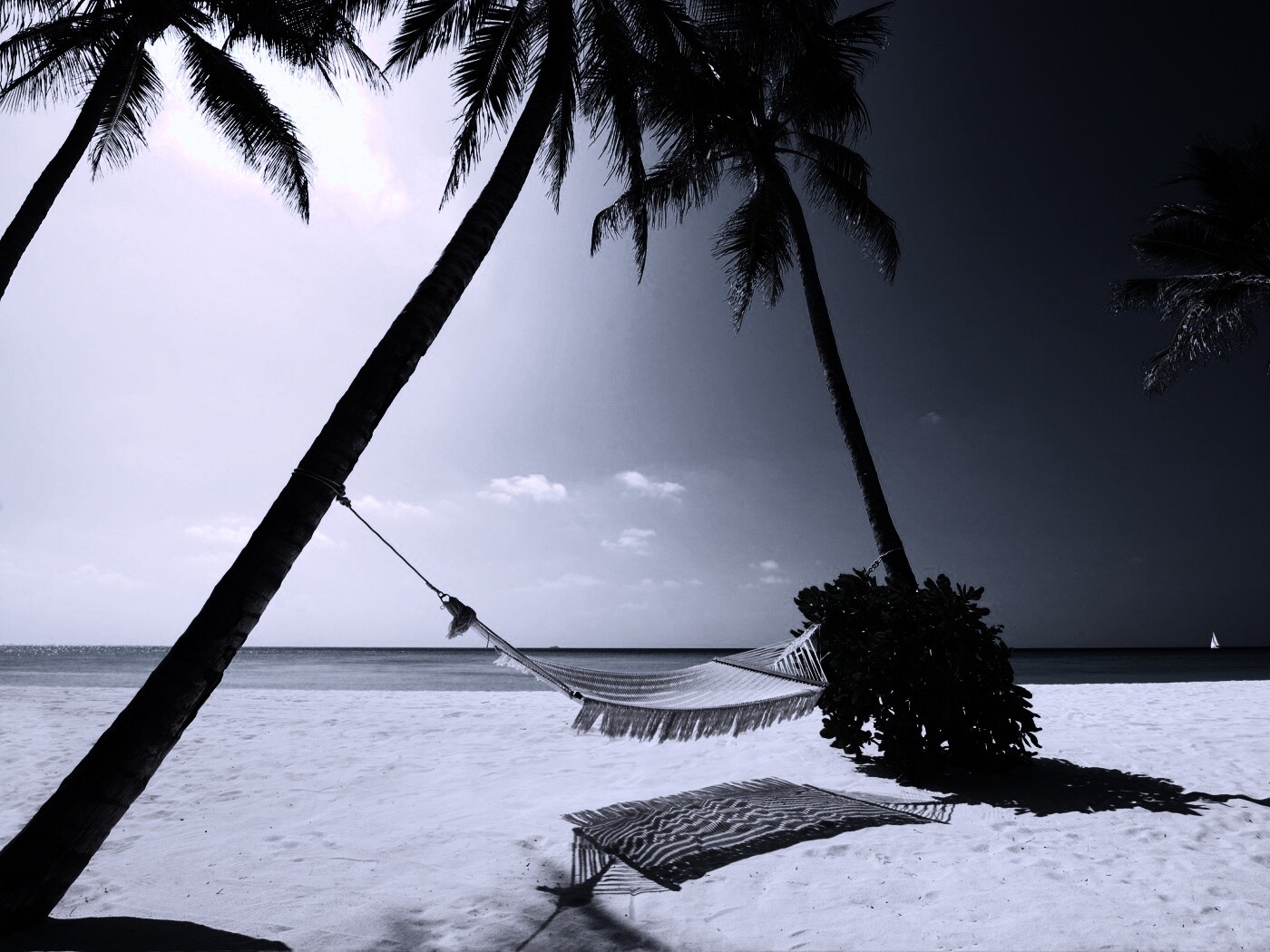 Тропический рай обои