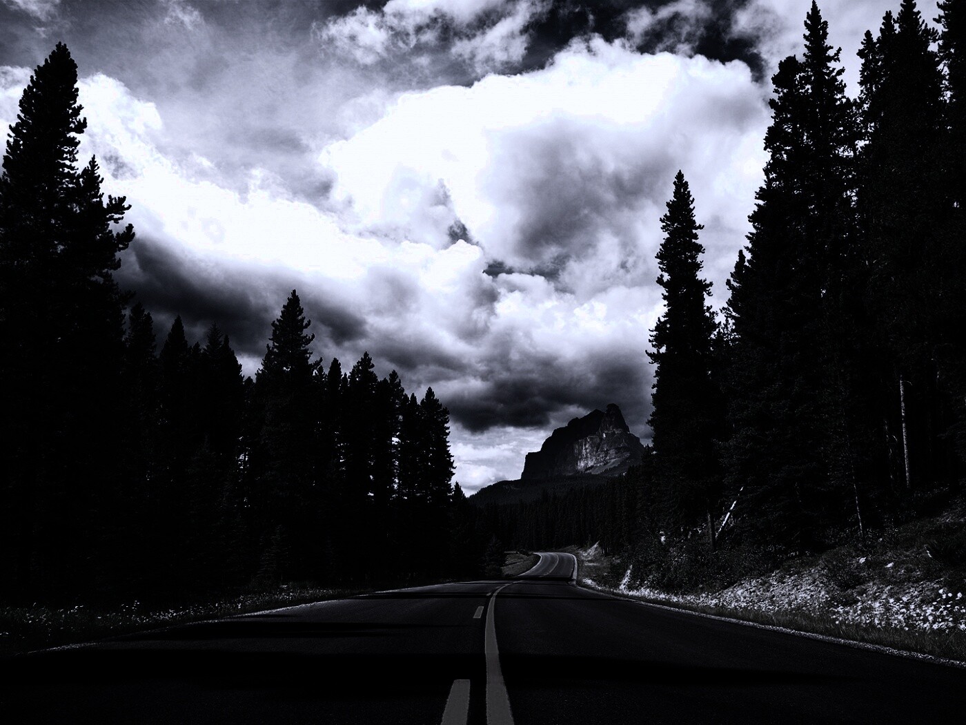 Красивая лесная дорога обои