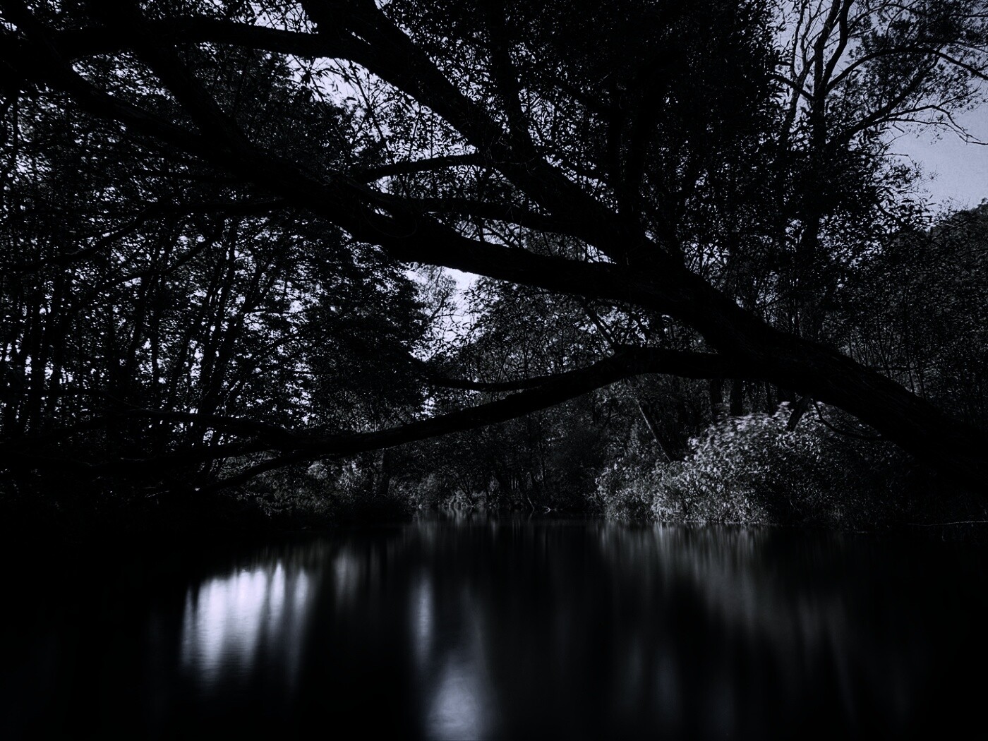 Спокойная лесная река обои