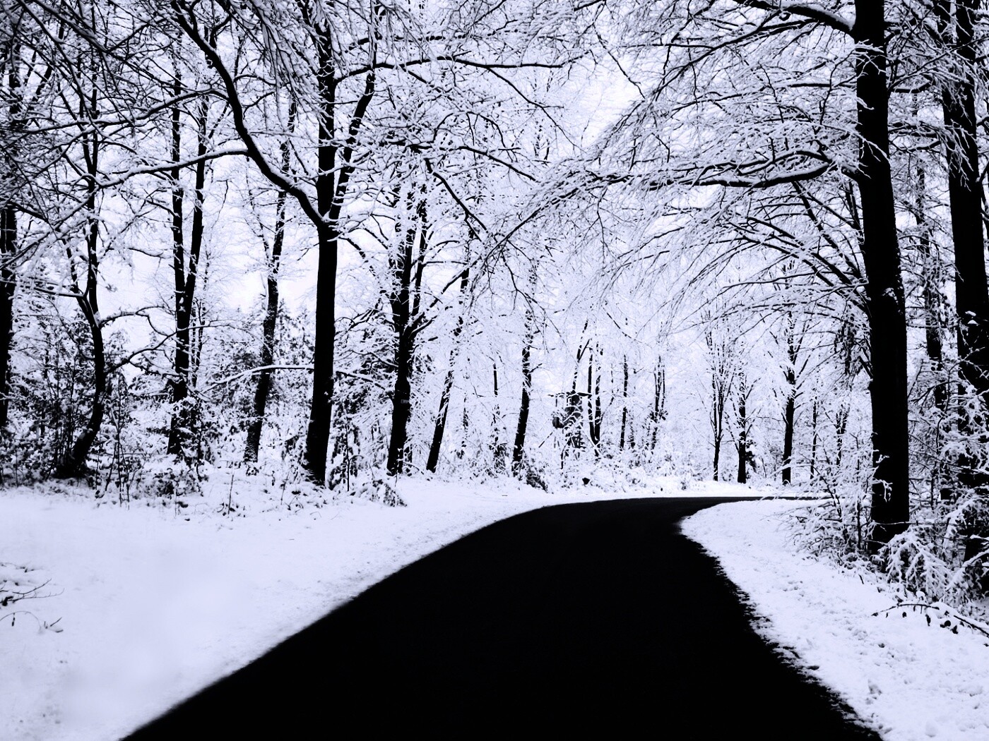 Дорога в зимнем лесу обои