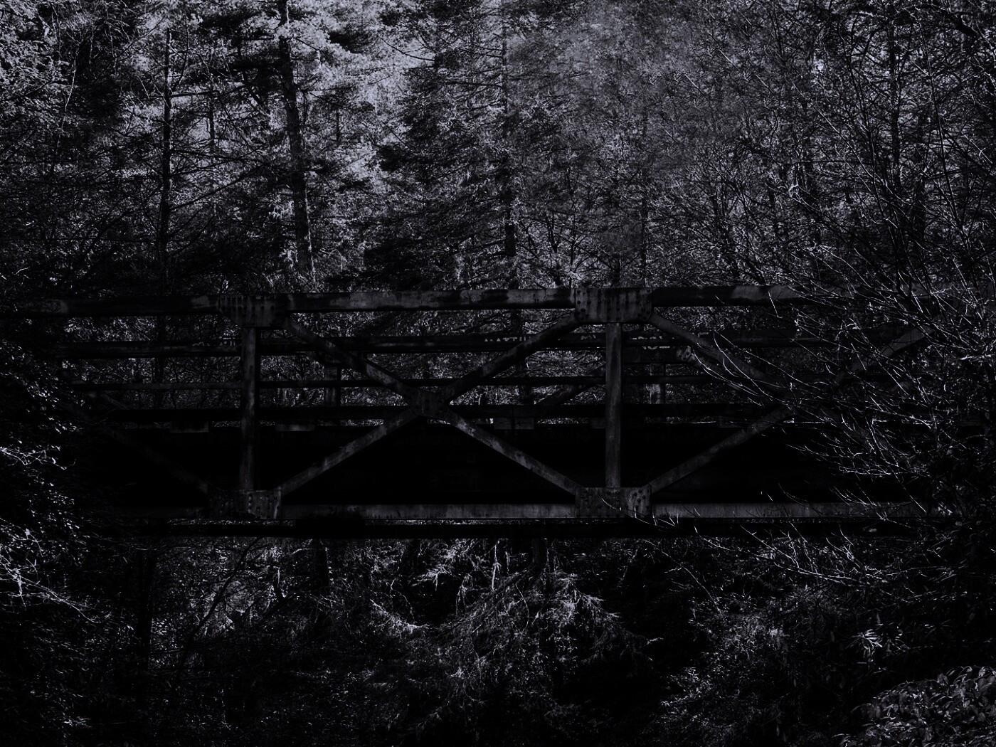 Металлический мост в лесной глуши обои