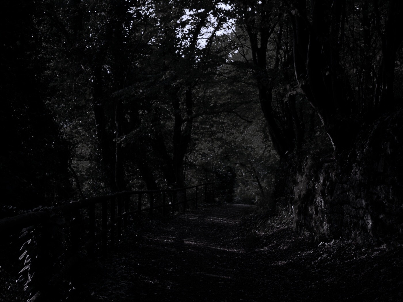 Лесная дорожка обои