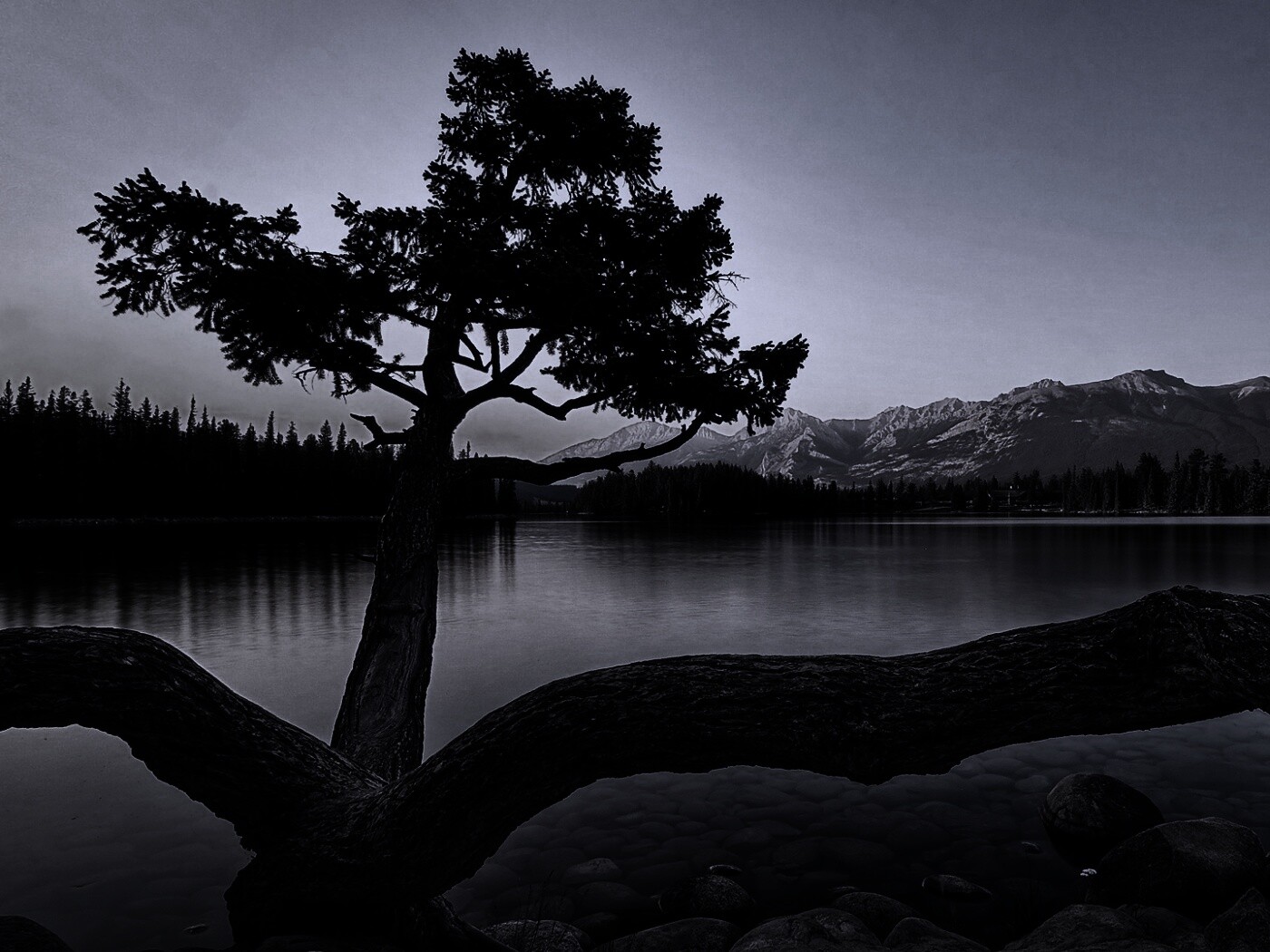 Дерево у горного озера обои