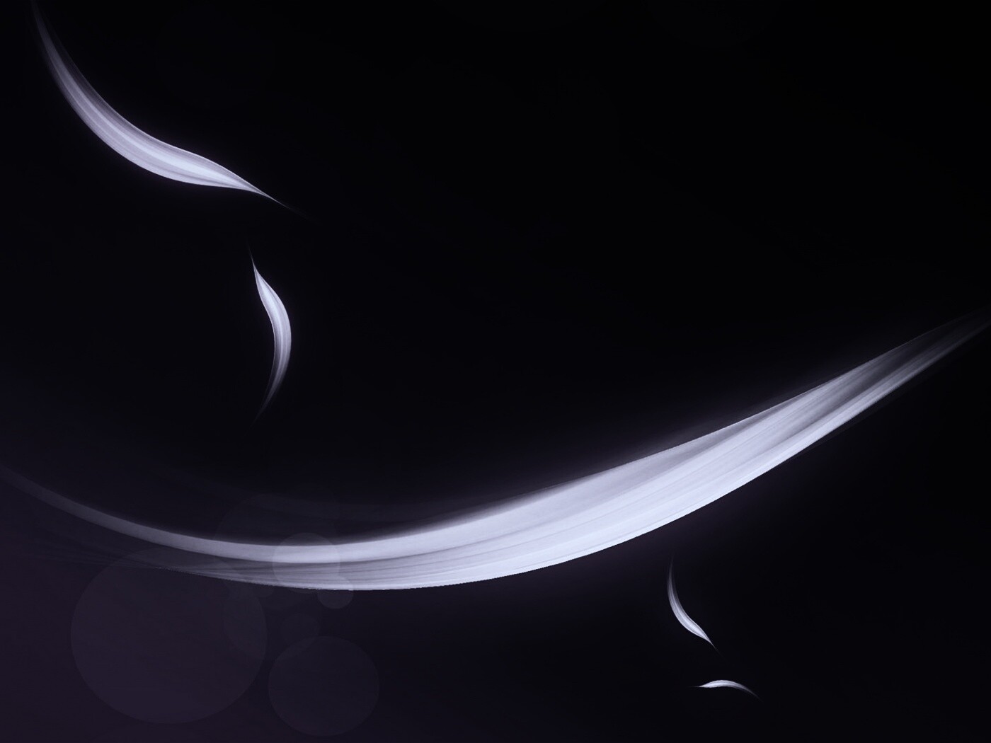 Лепестки света обои