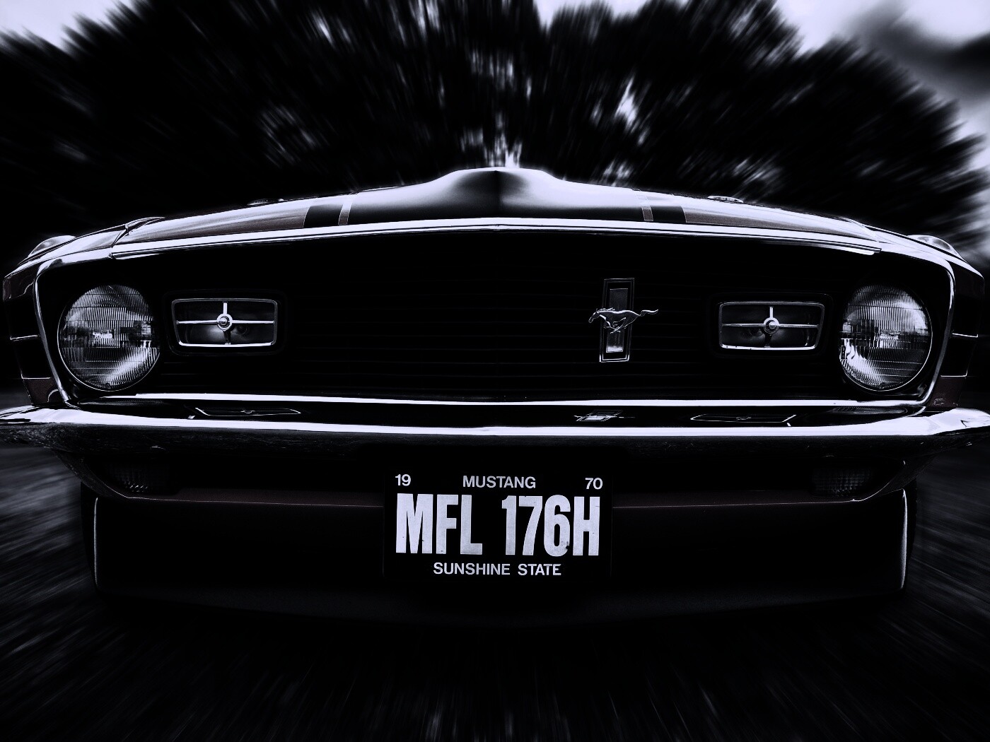 Мустанг обои