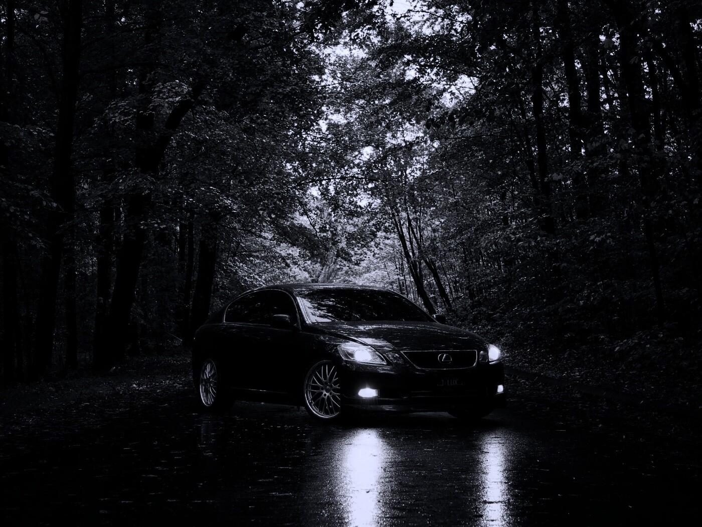 Лексус на лесной дороге обои
