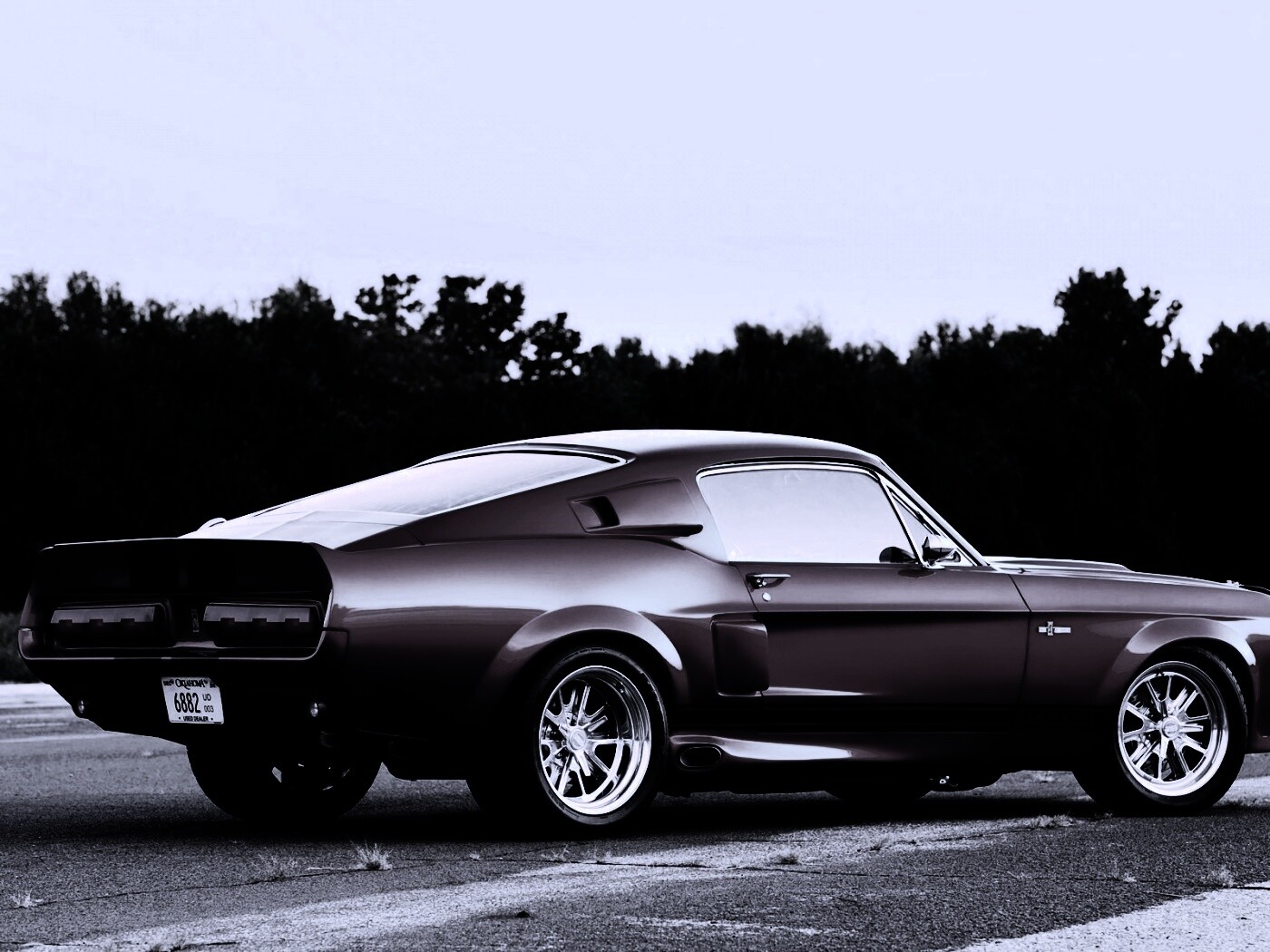 Shelby GT500 CR обои