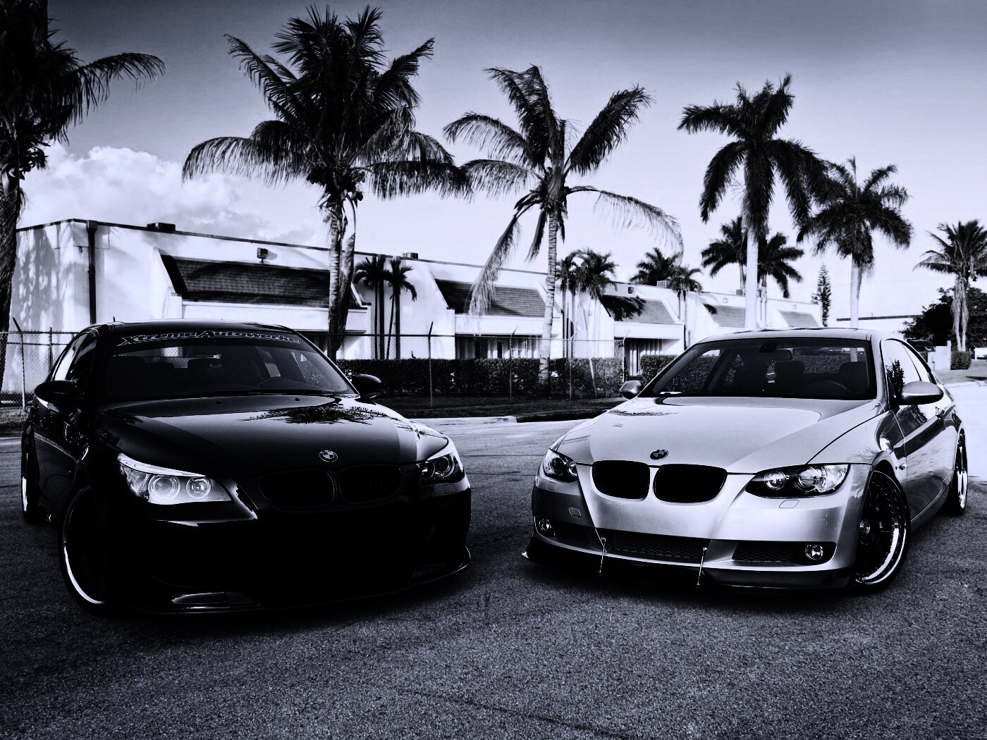 Две БМВ обои