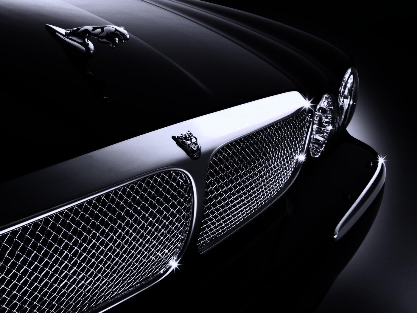 Капот и эмблема Ягуара обои